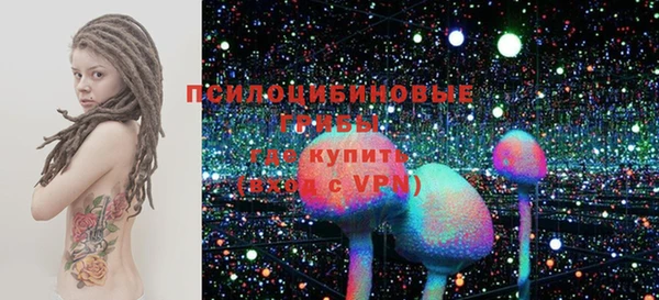 шишки Абдулино