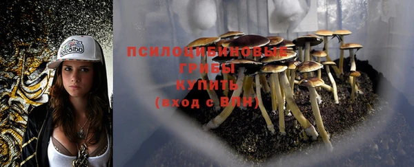 шишки Абдулино